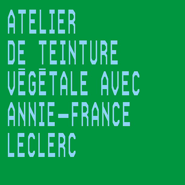 Atelier de teinture végétale avec Annie-France Leclerc